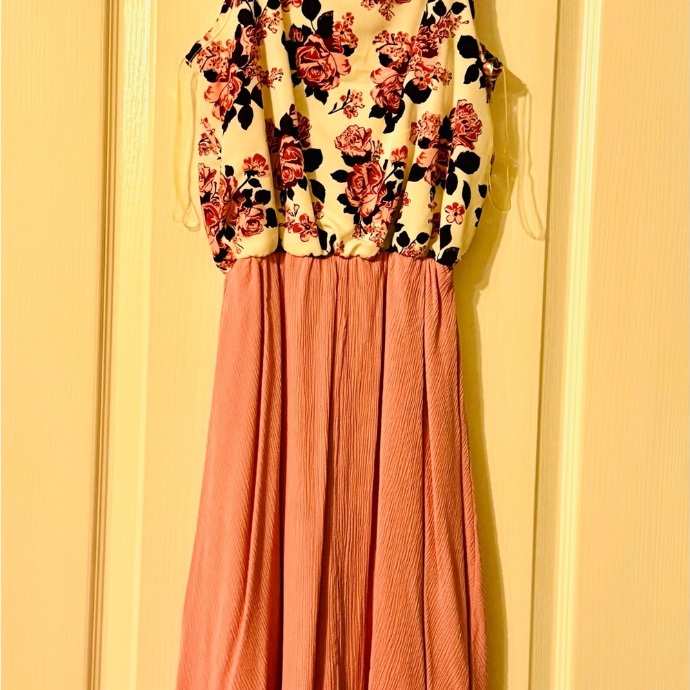 Lily Bleu Rose Print Top with Blush Skirt Dress